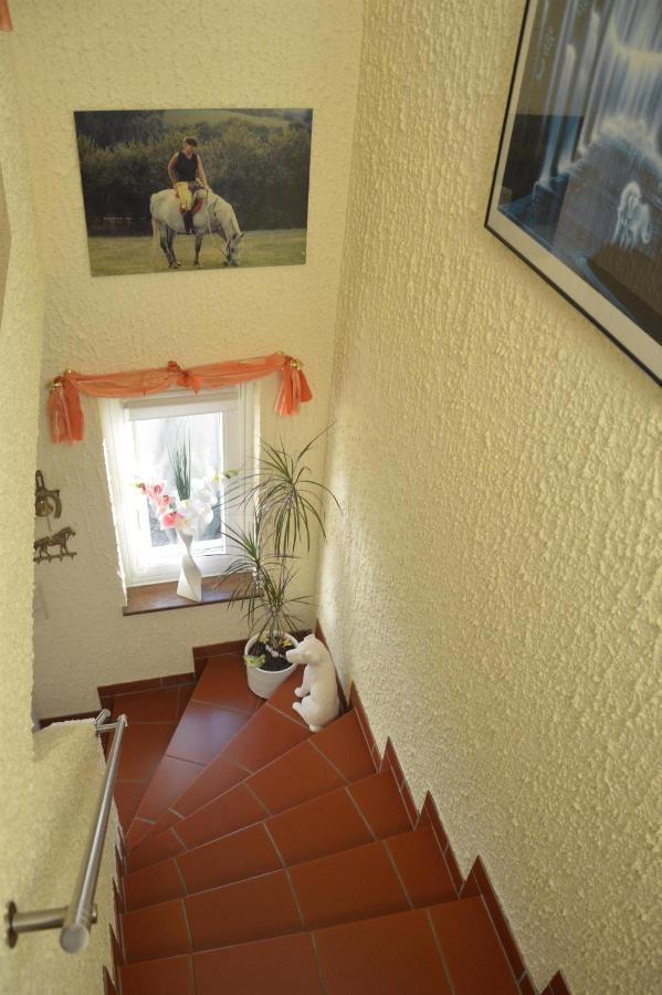 Ferienwohnung Auszeit Waxweiler Экстерьер фото